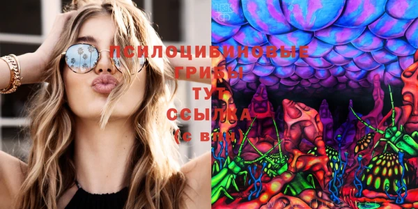 СК Елизово