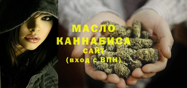 МДПВ Елабуга