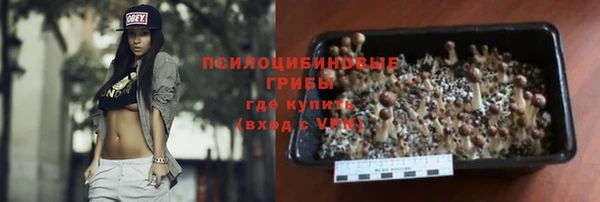 МДПВ Елабуга