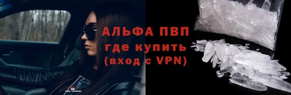 СК Елизово