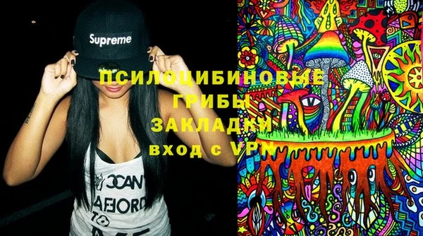 герыч Ельня