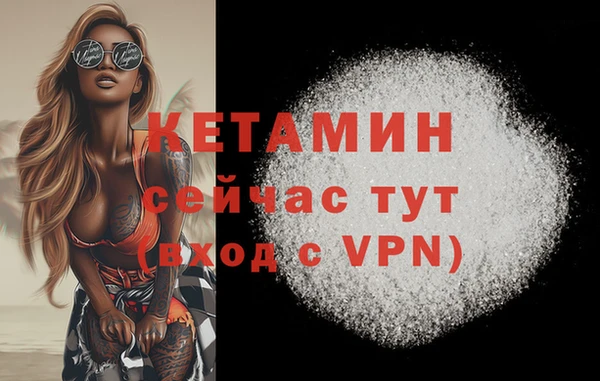 СК Елизово