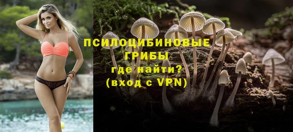 МДПВ Елабуга