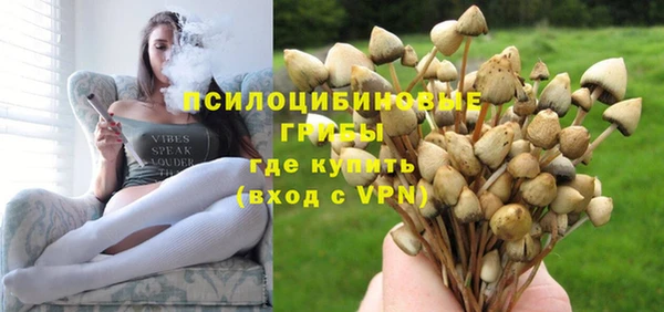 МДПВ Елабуга