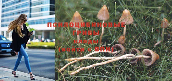 МДПВ Елабуга