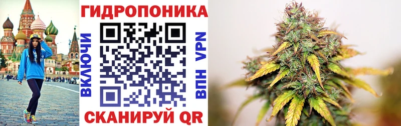 Шишки марихуана план  Купить закладки  Холм 